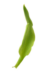 Similar image 22080299