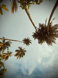 Similar image 22080153