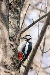 Similar image 22082222