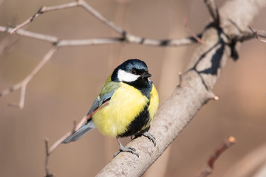 Similar image 22080300