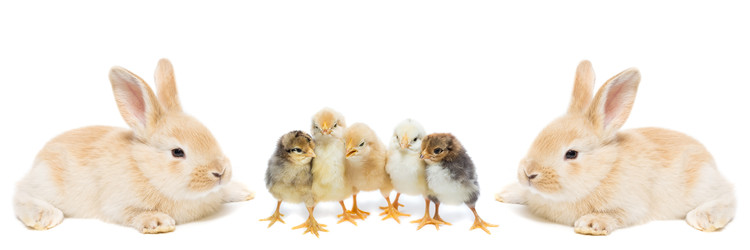 Similar image 22080309