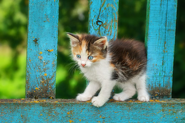 Similar image 22080323