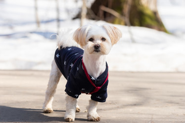 Similar image 22080395