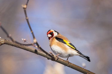 Similar image 22080396