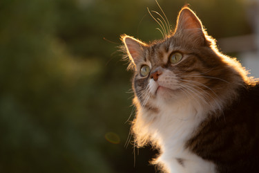 Similar image 22080615