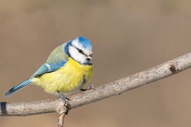 Similar image 22081916