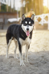 Similar image 22081920