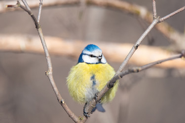 Similar image 22081944