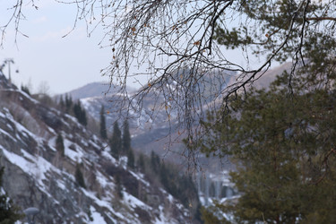 Similar image 22080620