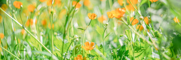 Similar image 22081175