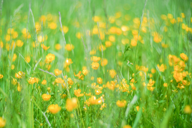 Similar image 22081176