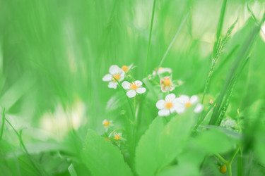 Similar image 22081179