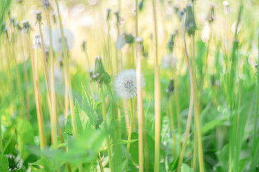 Similar image 22081180