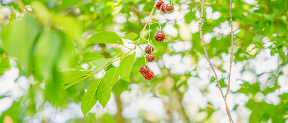 Similar image 22081181