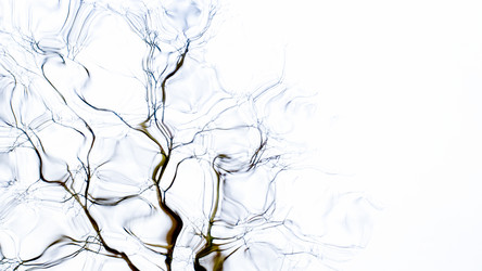 Similar image 22081186