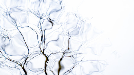 Similar image 22081187