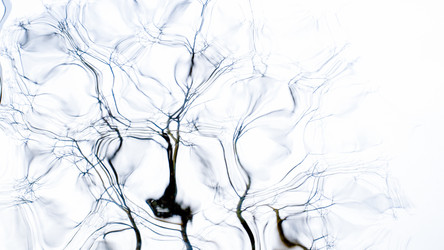 Similar image 22081190