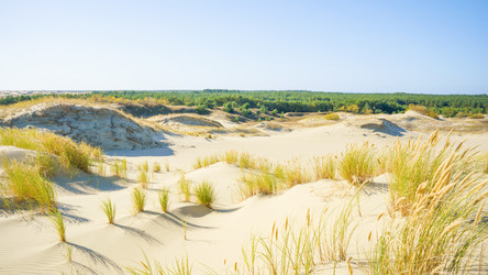 Similar image 22081191