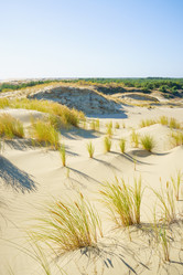 Similar image 22081192