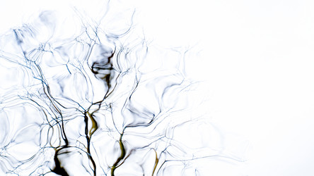 Similar image 22081194