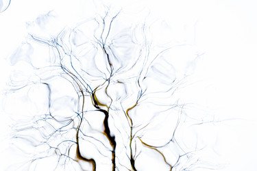 Similar image 22081195