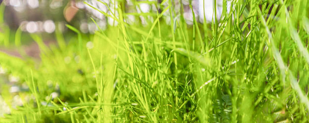 Similar image 22081199