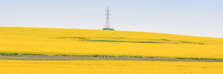 Similar image 22081202