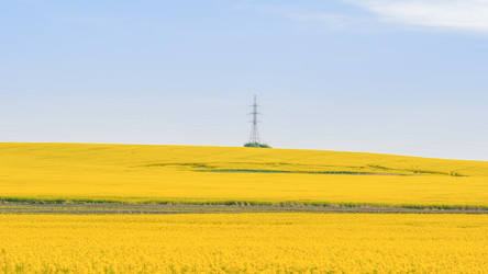 Similar image 22081205