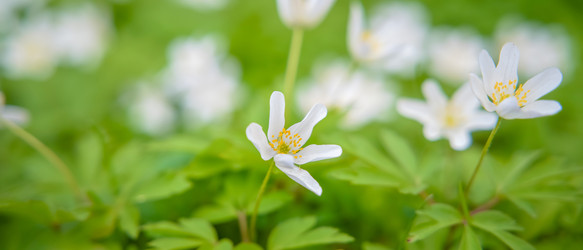 Similar image 22081207