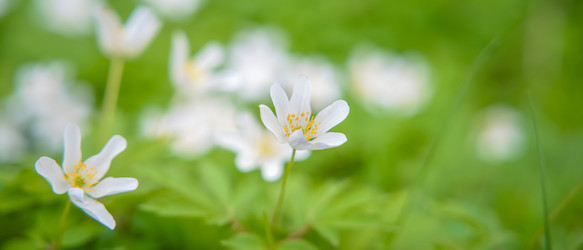 Similar image 22081208