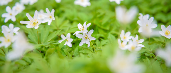 Similar image 22081209