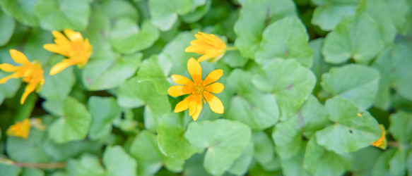 Similar image 22081210