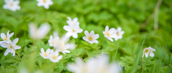 Similar image 22081211