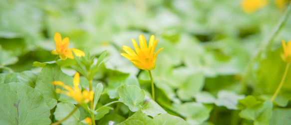 Similar image 22081212