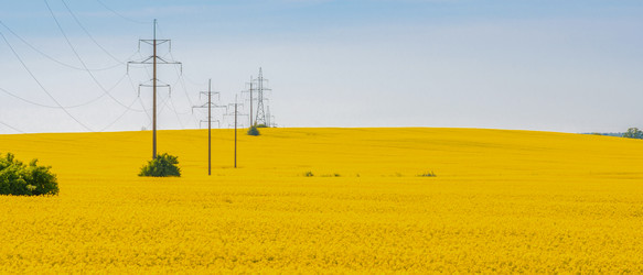 Similar image 22081213