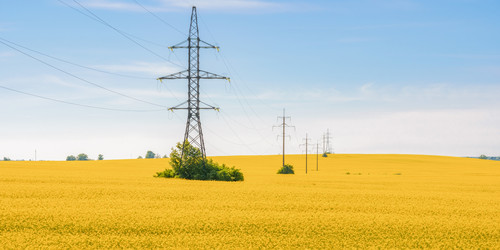 Similar image 22081216