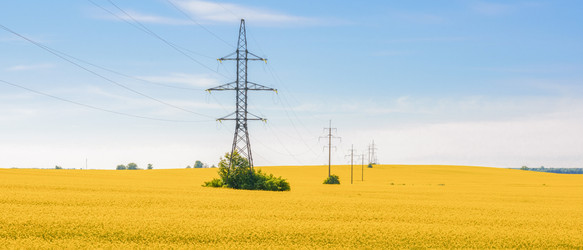 Similar image 22081217