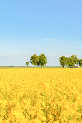 Similar image 22081219