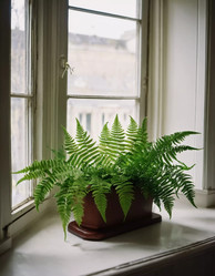 Similar image 22085803