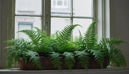 Similar image 22085805