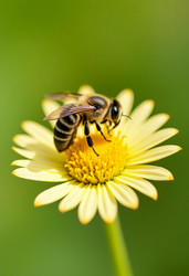 Similar image 22085979