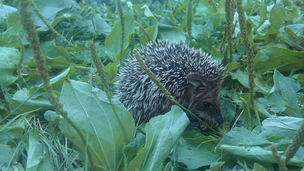 Similar image 22085531