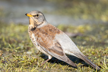 Similar image 22081126