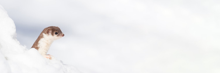 Similar image 22081579