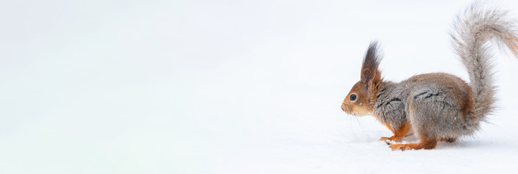 Similar image 22081581