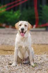 Similar image 22081584