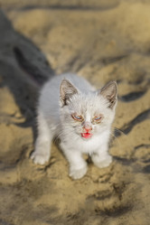 Similar image 22081605