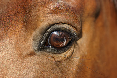 Similar image 22081607