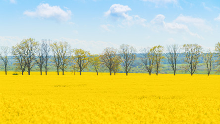 Similar image 22081226