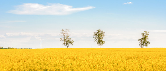 Similar image 22081227